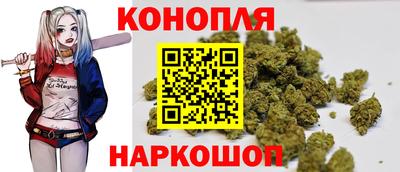 прущие грибы Кулебаки