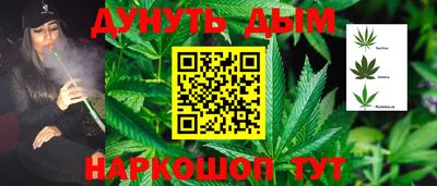 прущие грибы Кулебаки