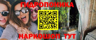 прущие грибы Кулебаки