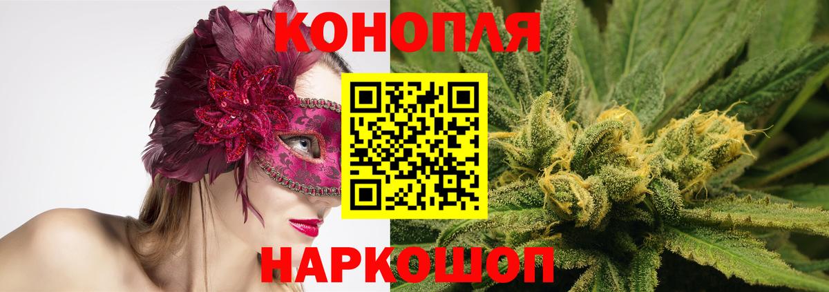 Шишки марихуана семена  Вход с VPN  Зеленогорск  Канабис Bruce Banner 